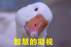 ��θ߼�(j��)��ί��ر��_(d��)����ܴ����� ����7�N�ߴ��ϵ��f��