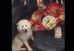 �Ҽ��_ĦҮ���S�ǂ�(g��)��ħ���΢Ц��ʹ�������һ�ж����ҵ��e(cu��)����