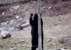 �����g��˾�������²����Ї��Ĺ�����ͨ���Y�������ַ��D����