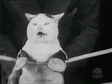 �����g��˾�����˄��I�؁������ӣ�������һ�ں�ס�^�����o��