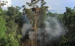 �o�Ƭ��Ȼ�������BBC��Ʒ���،پ�Ʒ������ԒҪ������