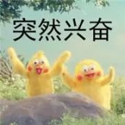 �����g-���_�Ɍ����ԣ������������M�Ї��˸��X����ʲô������