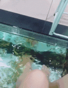 ��Ц���ӣ��҂��������Ů���������ӵ��w򞣡