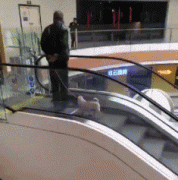 ��ЦЦԒ��˾�C���f�����ゃ���ܲ��ţ�������Ȅӵ��֣�