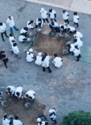 ��ЦЦԒ��������ďN����У�������@�����ӵ�