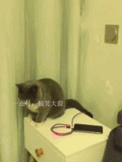 �韟�����w���ã��@λ��ÿ��ͳ邀���ĸ���