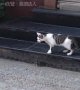 ������ �ҽ�ጣ��@���ұ��ܷ���(y��ng)����