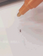 �[������һ�Ѽ��g���Y���@�͌����ˣ�