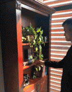 ԭ�����X�����@�ӳԟ����ģ���ζ�ܪ��أ�����ؚ�F�������ҵ�����