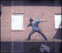 GIF�ӈD����� �@ô���������ǧ�f�e��̫��