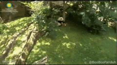 ���������P�T����ֱ����؈�����汻���������W��ը��ˡ���