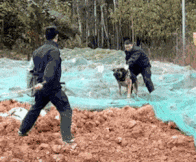 ��ЦGIF�D9����һ�D�������绢��һ����(zh��n)��(j��)���c(di��n)��