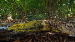 �������@չ��������������������������߀��720�N�Ԅe