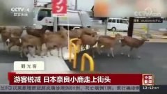 ����С¹��̩�����ӡ�ˮ���^���Z�������g���w�����Ρ����]�뵽��